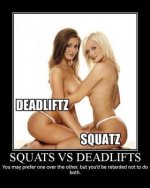 87a1a-squats_vs_deadlifts.jpg
